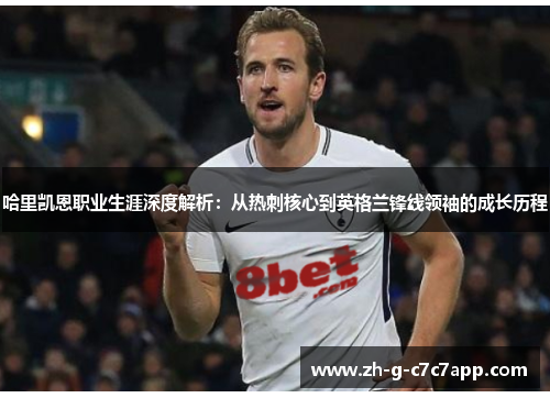 哈里凯恩职业生涯深度解析：从热刺核心到英格兰锋线领袖的成长历程