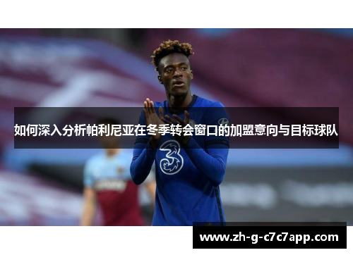 如何深入分析帕利尼亚在冬季转会窗口的加盟意向与目标球队 如何深入分析帕利尼亚在冬季转会窗口的加盟意向与目标球队